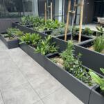 Best garden pots planters tubs boxes troughs for apartment buildings, residential, balcony gardens, privacy, delivered, lightweight and strong