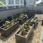 Best garden pots planters tubs boxes troughs for apartment buildings, residential, balcony gardens, privacy, delivered, lightweight and strong