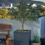 Square Cube Garden Pot Planter Delivered Near Me