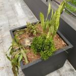 Square Cube Garden Pot Planter Delivered Near Me