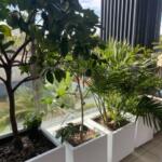 Square Cube Garden Pot Planter Delivered Near Me