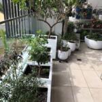 Square Cube Garden Pot Planter Delivered Near Me
