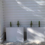 Large Garden Pots for Privacy and screening