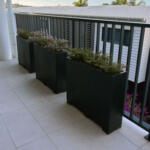 Large Garden Pots for Privacy and screening