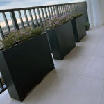 Large Garden Pots for Privacy and screening