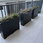 Large Garden Pots for Privacy and screening