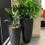 StoneLite-bullet-planter-in-situ-custom-charcoal-81115-garden-pots-online
