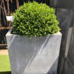 Raw Concrete Square Cube Garden Pot Planter
