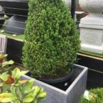 Raw Concrete Square Cube Garden Pot Planter