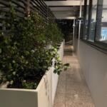 Stonelight Divider Trough courtyard