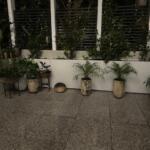 Stonelight Divider Trough courtyard