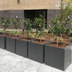 Square Cube Garden Pot Planter Delivered Near Me