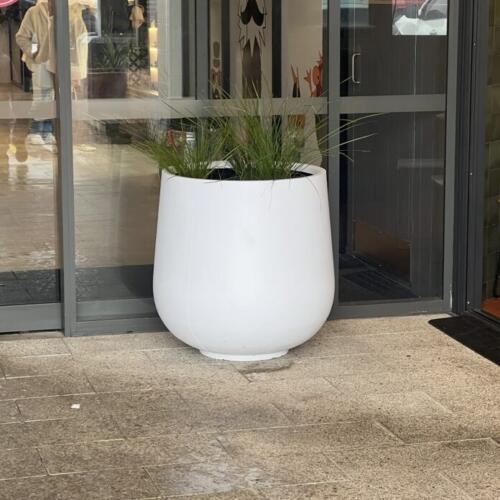 Elevate your interior decor with our elegant bung-shaped white pots, featuring a narrow top and solid bottom, beautifully paired with lush palms. These modern and stylish pots are perfect for adding a touch of greenery to any indoor space. Crafted from high-quality materials, they complement a variety of decor styles. Ideal for living rooms, offices, or commercial spaces, these white pots with palms bring a fresh and sophisticated look to your environment. Available in custom sizes and over 4,000 Dulux® colours to match your interior perfectly. Open 7 days with online enquiries available 24/7