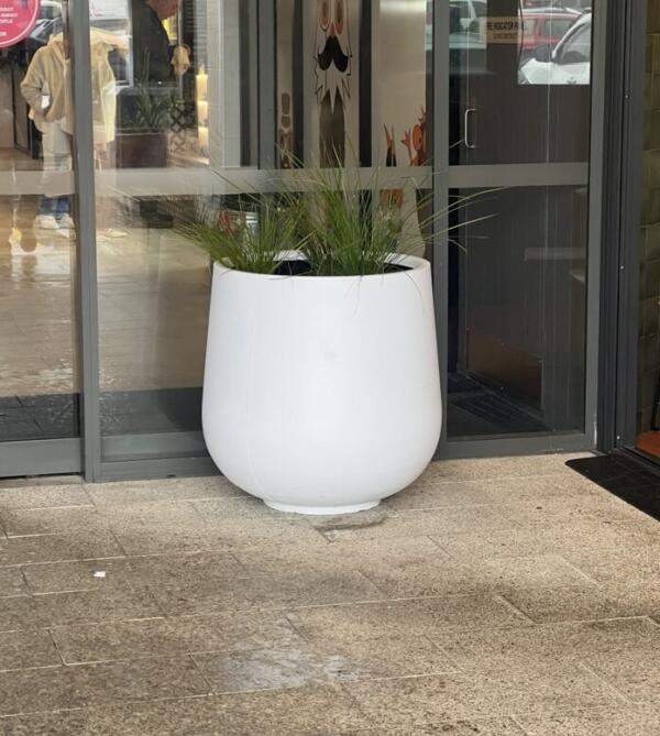 Elevate your interior decor with our elegant bung-shaped white pots, featuring a narrow top and solid bottom, beautifully paired with lush palms. These modern and stylish pots are perfect for adding a touch of greenery to any indoor space. Crafted from high-quality materials, they complement a variety of decor styles. Ideal for living rooms, offices, or commercial spaces, these white pots with palms bring a fresh and sophisticated look to your environment. Available in custom sizes and over 4,000 Dulux® colours to match your interior perfectly. Open 7 days with online enquiries available 24/7