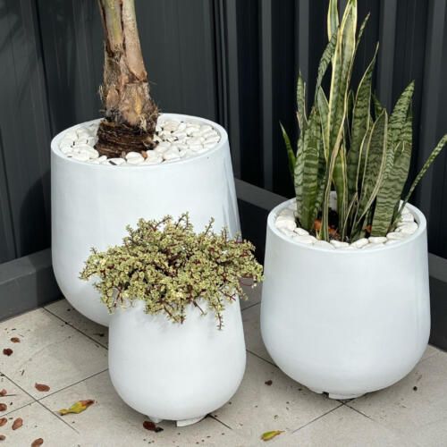 Large Garden Pots for inside and outside delivered