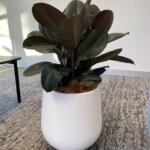 Bung Garden Pot Planter