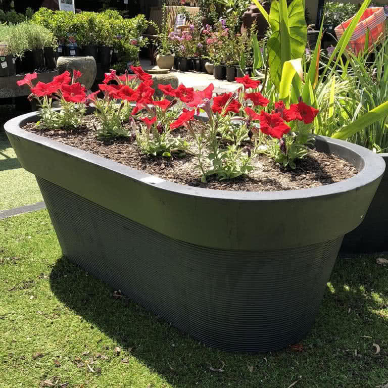 Veggie Planter