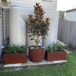 Large Rusted Country Style Garden Pots