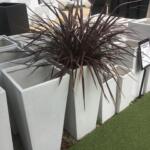 Tall Tapered Square Garden Pots and Planters Raw Concrete