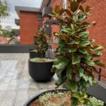 Massive Garden pot and planter for trees