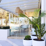 Elegant White Pots with Palms - Perfect for Interior Design - Stylish & Modern