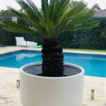 Giant garden tubs tree planters and pots delivered