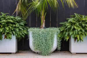 Project White Planters StoneLite Mixed Chatswood 16