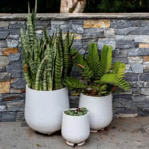 Project-White-Planters-StoneLite-Mixed-Chatswood-feature-image