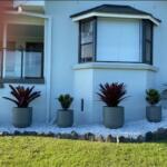 Massive Garden pot and planter for trees