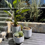 TALL TUB TREE GARDEN POT PLANTER