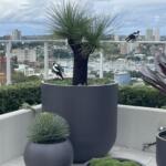 TALL TUB TREE GARDEN POT PLANTER
