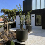 TALL TUB TREE GARDEN POT PLANTER