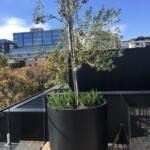 TALL TUB TREE GARDEN POT PLANTER
