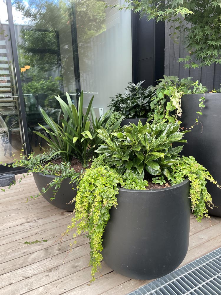 Stonelite GRC victoria sutton gallery 22 tall tubs plus a deep bowl