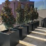 Large Square Tree Planters