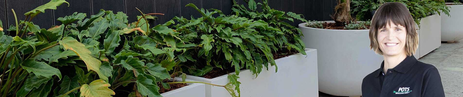 pots-planters-wholesale-direct-online-pots