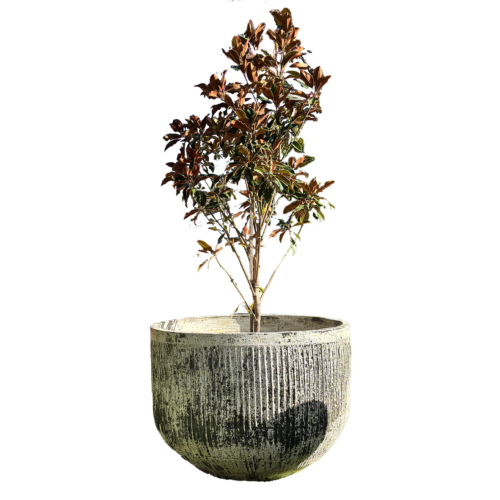 Thai Limestone Fluted Tubs