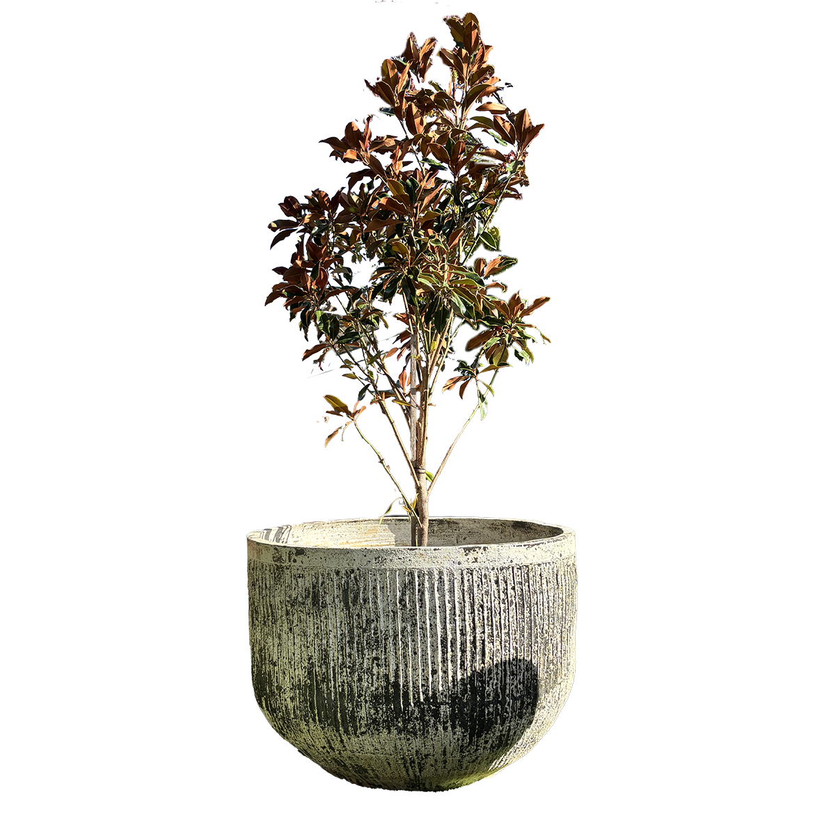 Thai Limestone Fluted Tubs